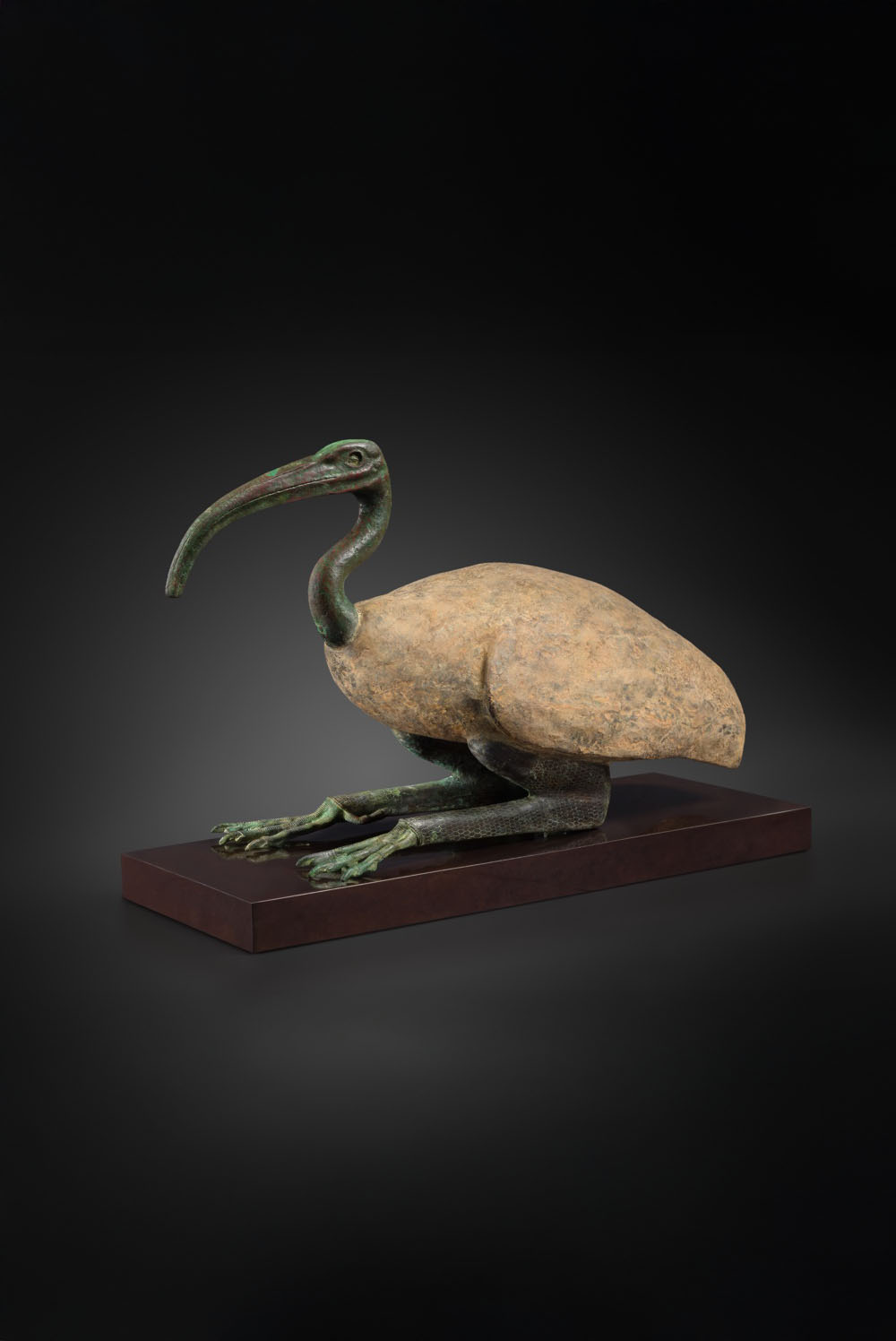 <h2>Ibis</h2>